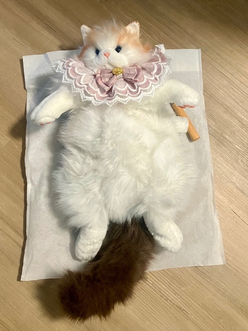 Adorable Cat Backpack NWOT